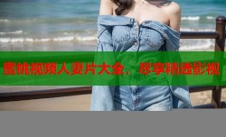 蜜桃视频人妻片大全，尽享精选影视