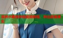 澳洲水蜜桃种植视频教程，种出甜美果实