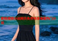 蜜桃视频小说网页免费畅享海量热门小说