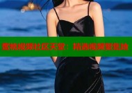 蜜桃视频社区天堂：精选视频聚集地
