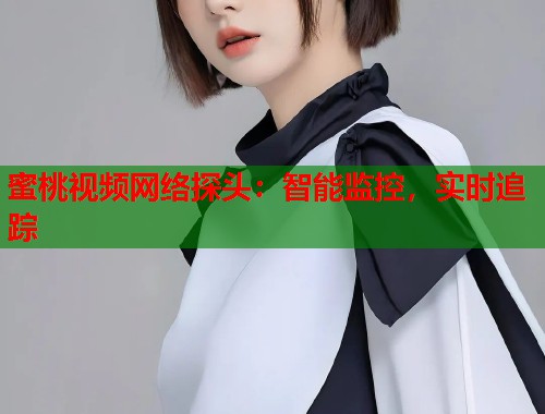 蜜桃视频网络探头：智能监控，实时追踪  第2张